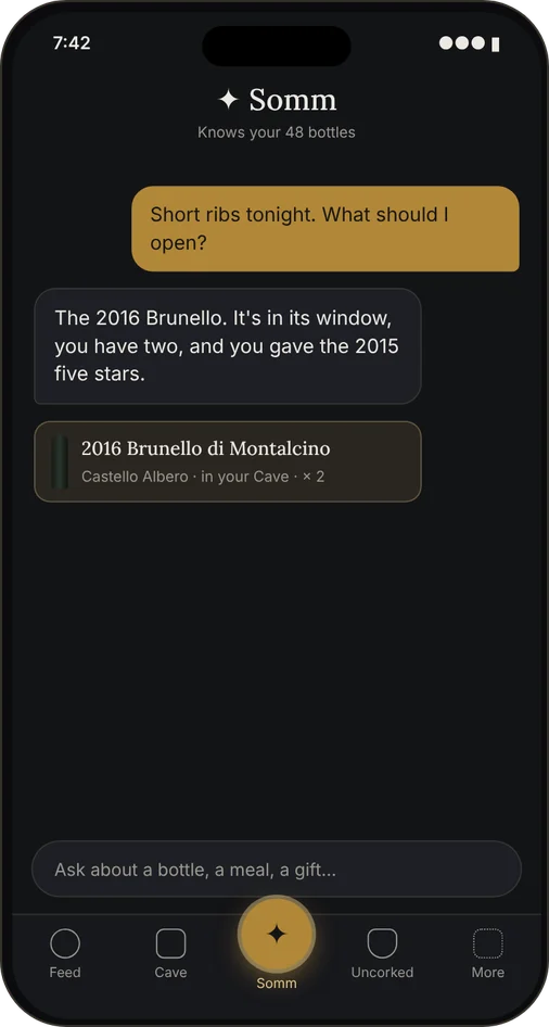 Somm chat recommending a 2016 Brunello from the user's cellar for short ribs